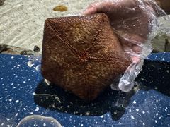 -福州罗源湾海洋世界旅游区