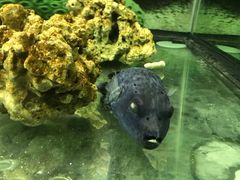 -泉州海丝野生动物世界