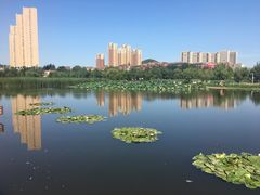 -前关湿地公园