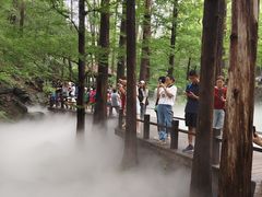 -北京植物园南门售票处