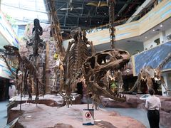 -安徽省地质博物馆