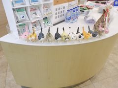 -美联众合动物医院·24h转诊中心