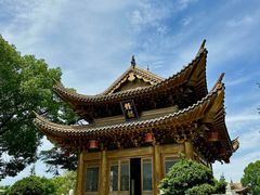 -上海东林寺(金山区)