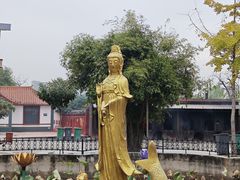 -章华寺