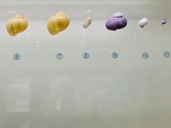 -青岛贝壳博物馆