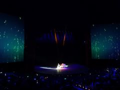 -水秀国际大剧院