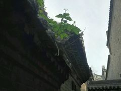 -山西王家大院