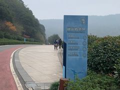 -桃花岭景区
