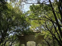 -灵岩山风景区