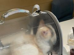 -美联众合24小时·皮肤科·外科·全科诊疗中心(华苑分院)