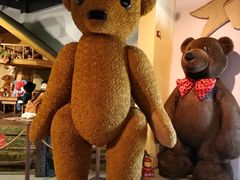 -济州岛泰迪熊博物馆