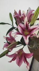 -妈妈时光机医疗产后修复(南山茂业百货店)