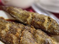 香煎龙利鱼-蛇口康乐快餐鱼仔档(翠苑小区店)