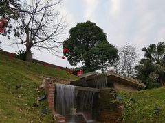 -凤阁楼果木烧鹅(鹤山陈山店)