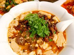 豆花牛腩-小四川美食馆(幸福路店)