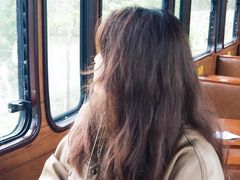 -合肥滨湖国家森林公园