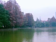 -四海公园(南山区)