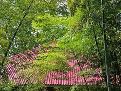 -莫干山风景区