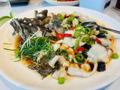 鲜花椒蒸龙趸鱼-任兴记(定西路店)