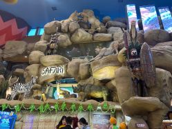 -卡通尼·Safari非洲探索乐园·生日会(金桥国际商业广场店)