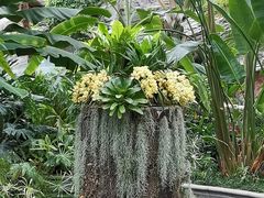 -北京植物园-展览温室