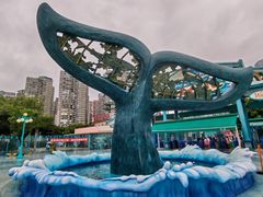 -海合安成都极地海洋公园