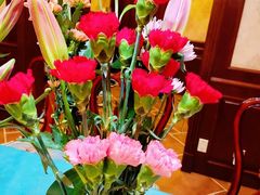 -宝鸡东道花鸟鱼虫市场(吉利花园商场店)
