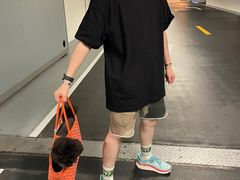 -電力宠物公司(武定路店)