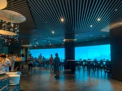 -海棠湾洲际-涛·海底餐厅·美人鱼·自助餐·海底隧道