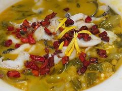 -佬肥猫(国华广场店)