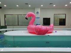 -优加国际游泳中心(开发区万达店)