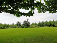 -大连理工大学(凌水校区)