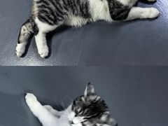 -蓝天射箭馆·专业射箭运动(诚丰广场店)