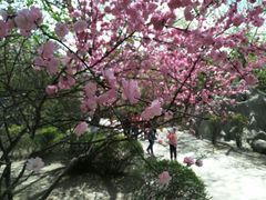 -靖宇公园