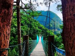 -遂昌金矿国家矿山公园