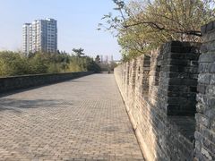 -水绘园