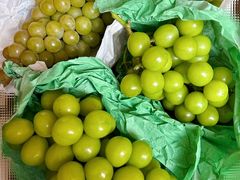 -马陆小张葡萄园农家乐