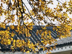 -上海市保健医疗中心