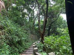 -广州市帽峰山景区