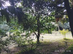 -重庆平顶山公园