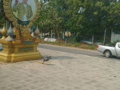 android_upload_pic-普吉镇