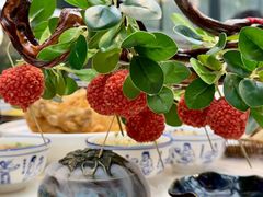 -唐猫庭院·千年陕菜(大唐不夜城店)