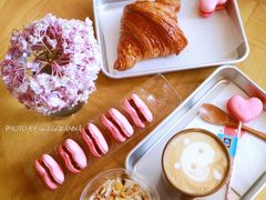 -WHEN PIGS FLY当猪飞