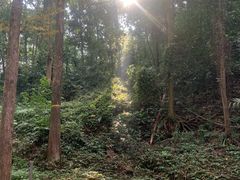 -凤栖山