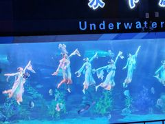 -泉城欧乐堡海洋极地世界