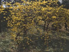 -贮水山儿童公园