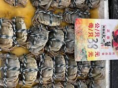 -新河畔海鲜酒楼(虎门店)