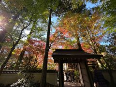 -三千院