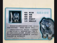 -青藏高原野生动物园