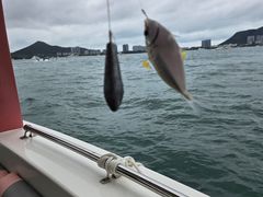 -小猫钓鱼海钓俱乐部(椰梦长廊店)